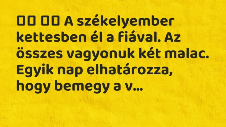 Viccek:
A székelyember kettesben él a fiával. Az összes… Viccek:
A székelyember kettesben él a fiával. Az összes…