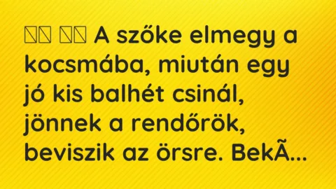 Viccek: 
		  
		  A szőke elmegy a kocsmába, miután egy jó kis…