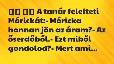 Viccek:
A tanár felelteti Mórickát:- Móricka honnan… Viccek:
A tanár felelteti Mórickát:- Móricka honnan…