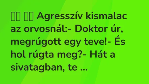Viccek: 
		  
		  Agresszív kismalac az orvosnál:- Doktor úr,…