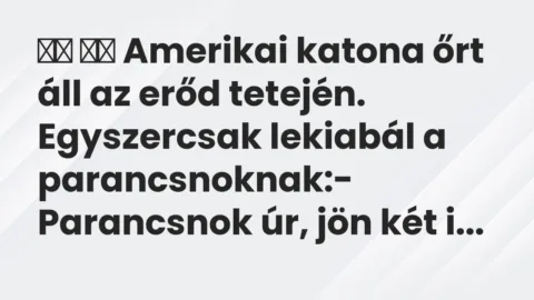 Viccek: 
		  
		  Amerikai katona őrt áll az erőd tetején….
