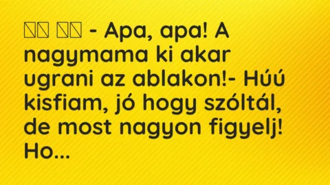Viccek:
– Apa, apa! A nagymama ki akar ugrani az… Viccek:
– Apa, apa! A nagymama ki akar ugrani az…