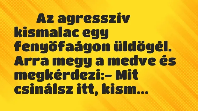 Viccek:
Az agresszív kismalac egy fenyőfaágon üldögél…. Viccek:
Az agresszív kismalac egy fenyőfaágon üldögél….