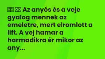 Viccek: 
		  
		  Az anyós és a veje gyalog mennek az emeletre,…
