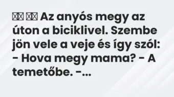 Viccek: 
		  
		  Az anyós megy az úton a biciklivel. Szembe jön…