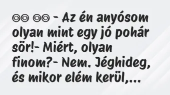 Viccek: 
		  
		  – Az én anyósom olyan mint egy jó pohár sör!-…