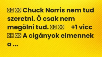 Viccek: 
		  
		  Chuck Norris nem tud szeretni. Ő csak nem megölni…