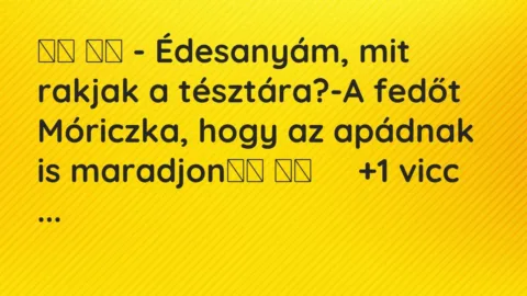 Viccek: 
		  
		  – Édesanyám, mit rakjak a tésztára?-A fedőt…