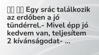 Viccek: 
		  
		  Egy srác találkozik az erdőben a jó tündérrel.