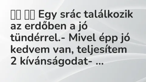 Viccek: 
		  
		  Egy srác találkozik az erdőben a jó tündérrel.