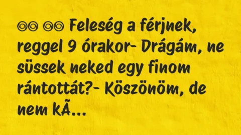 Viccek: 
		  
		  Feleség a férjnek, reggel 9 órakor- Drágám,…