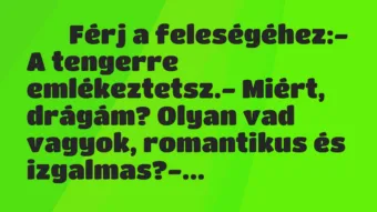 Viccek: 
		  
		  Férj a feleségéhez:- A tengerre…