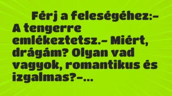 Viccek: 
		  
		  Férj a feleségéhez:- A tengerre…