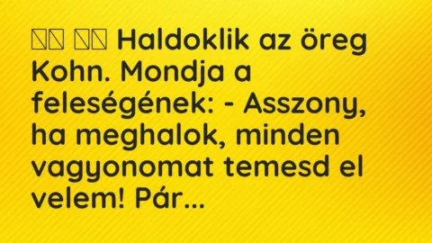 Viccek: 
		  
		  Haldoklik az öreg Kohn. Mondja a feleségének: