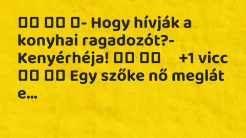 Viccek:
- Hogy hívják a konyhai ragadozót?-… Viccek:
- Hogy hívják a konyhai ragadozót?-…