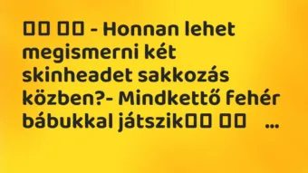 Viccek: 
		  
		  – Honnan lehet megismerni két skinheadet sakkozás…