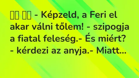 Viccek:
– Képzeld, a Feri el akar válni tőlem! – szipogja… Viccek:
– Képzeld, a Feri el akar válni tőlem! – szipogja…