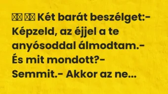 Viccek: 
		  
		  Két barát beszélget:- Képzeld, az éjjel a te …