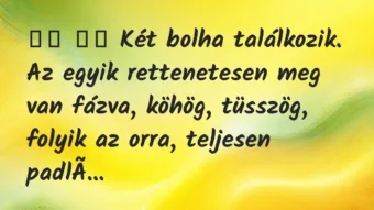 Viccek: 
		  
		  Két bolha találkozik. Az egyik rettenetesen meg…