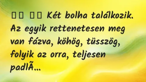 Viccek: 
		  
		  Két bolha találkozik. Az egyik rettenetesen meg…