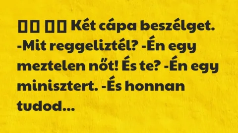 Viccek: 
		  
		  Két cápa beszélget. -Mit reggeliztél? -Én…