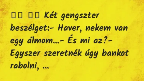 Viccek: 
		  
		  Két gengszter beszélget:- Haver, nekem van…