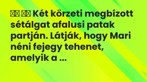 Viccek:
Két körzeti megbízott sétálgat afalusi patak … Viccek:
Két körzeti megbízott sétálgat afalusi patak …