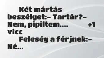 Viccek: 
		  
		  Két mártás beszélget:- Tartár?- Nem,…