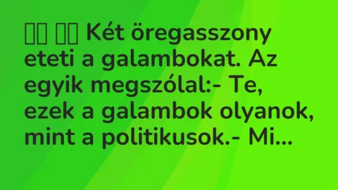 Viccek:
Két öregasszony eteti a galambokat. Az egyik… Viccek:
Két öregasszony eteti a galambokat. Az egyik…
