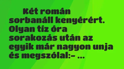 Viccek: 
		  
		  Két román sorbanáll kenyérért. Olyan tíz óra…