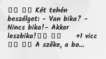 Viccek: 
		  
		  Két tehén beszélget: – Van bika? – Nincs bika!-…