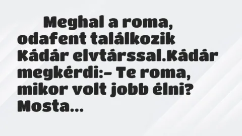 Viccek: 
		  
		  Meghal a roma, odafent találkozik Kádár…