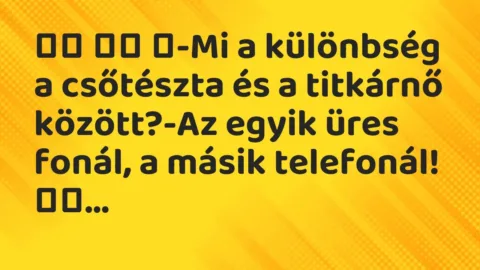 Viccek: 
		  
		  ‎-Mi a különbség a csőtészta és a titkárnő…