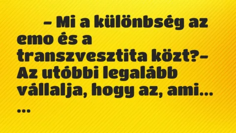 Viccek:
– Mi a különbség az emo és a transzvesztita… Viccek:
– Mi a különbség az emo és a transzvesztita…