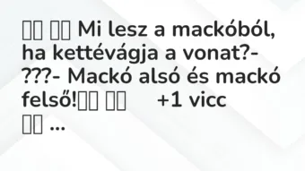 Viccek: 
		  
		  Mi lesz a mackóból, ha kettévágja a vonat?-…