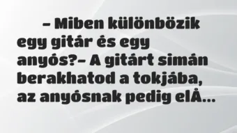 Viccek: 
		  
		  – Miben különbözik egy gitár és egy anyós?- A…