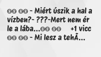 Viccek: 
		  
		  – Miért úszik a hal a vízben?- ???-Mert…