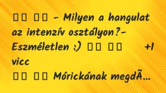 Viccek: 
		  
		  – Milyen a hangulat az intenzív osztályon?-…