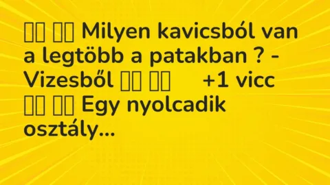 Viccek: 
		  
		  Milyen kavicsból van a legtöbb a patakban ?…