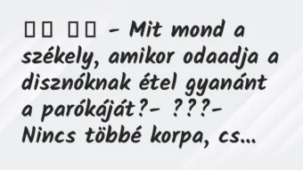 Viccek: 
		  
		  – Mit mond a székely, amikor odaadja a disznóknak…