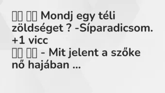 Viccek: 
		  
		  Mondj egy téli zöldséget ?…
