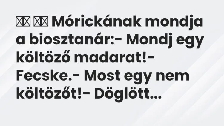 Viccek:
Mórickának mondja a biosztanár:- Mondj egy… Viccek:
Mórickának mondja a biosztanár:- Mondj egy…