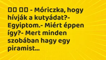 Viccek: 
		  
		  – Móriczka, hogy hívják a kutyádat?-…