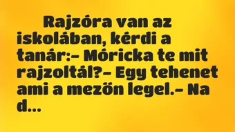 Viccek: 
		  
		  Rajzóra van az iskolában, kérdi a tanár:-…