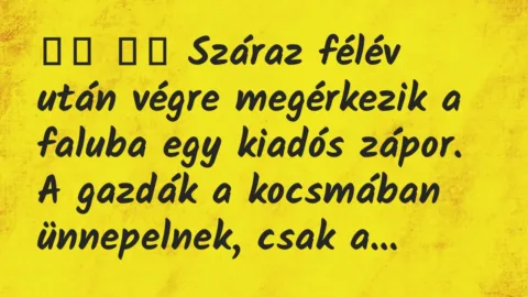 Viccek:
Száraz félév után végre megérkezik a faluba egy… Viccek:
Száraz félév után végre megérkezik a faluba egy…