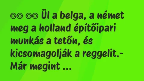 Viccek: 
		  
		  Ül a belga, a német meg a holland építőipari…