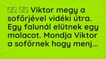 Viccek: 
		  
		  Viktor megy a sofőrjével vidéki útra. Egy falunál…