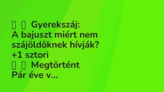 Vicces történet: 
	    	    Gyerekszáj:


A bajuszt miért nem szájöldöknek…