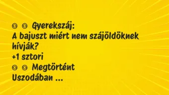 Vicces történet: 
	    	    Gyerekszáj:


A bajuszt miért nem szájöldöknek…
