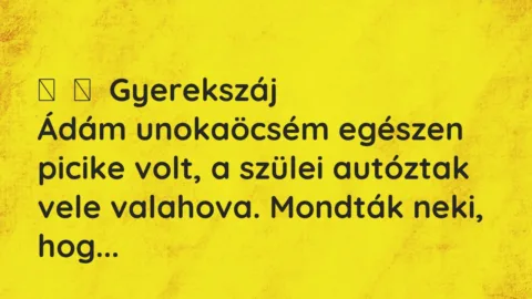 Vicces történet: 
	    	    Gyerekszáj


Ádám unokaöcsém egészen picike volt, a…